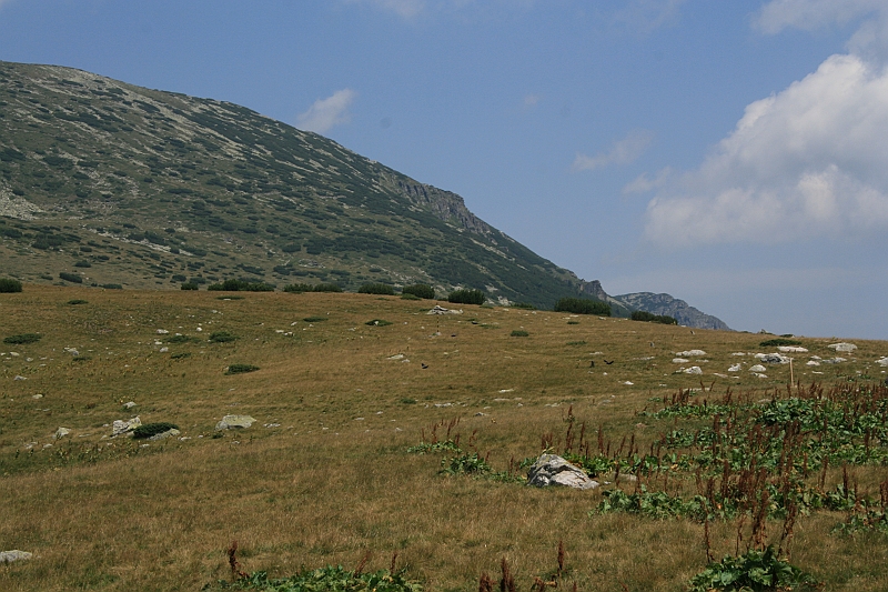 Bulgaria 2008 395